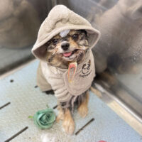 【本店】2023年5月14日のワンちゃん達♪