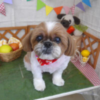 【山手店】2023年5月5日のワンちゃん達♪