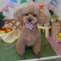 【山手店】2023年5月8日のワンちゃん達♪