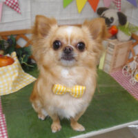 【山手店】2023年5月14日のワンちゃん達♪