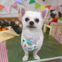 【山手店】2023年5月19日のワンちゃん達♪