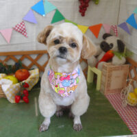 【山手店】2023年5月20日のワンちゃん達♪