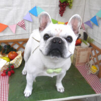 【山手店】2023年5月21日のワンちゃん達♪