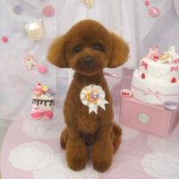 【山手店】2023年5月27日のワンちゃん達♪