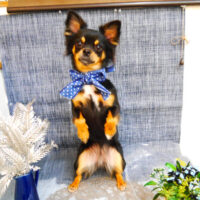 【池下店】2023年5月7日のワンちゃん達♪