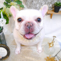 【池下店】2023年5月31日のワンちゃん達♪