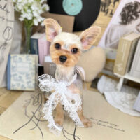 【本店】2023年6月2日のワンちゃん達♪