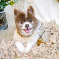 【池下店】2023年6月2日のワンちゃん達♪