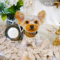 【池下店】2023年6月15日のワンちゃん達♪