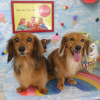 【山手店】2023年8月25日のワンちゃん達♪