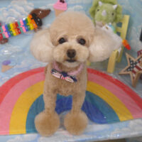 【山手店】2023年9月1日のワンちゃん達♪