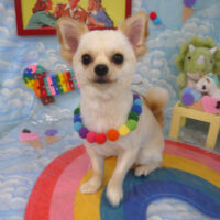 【山手店】2023年9月4日のワンちゃん達♪