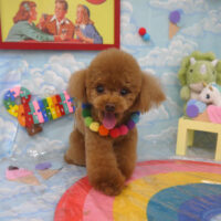 【山手店】2023年9月7日のワンちゃん達♪