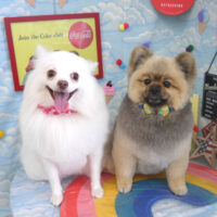 【山手店】2023年9月9日のワンちゃん達♪