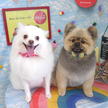 【山手店】2023年9月9日のワンちゃん達♪