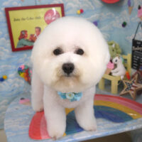 【山手店】2023年9月15日のワンちゃん達♪