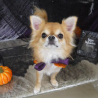 【山手店】2023年9月25日のワンちゃん達♪