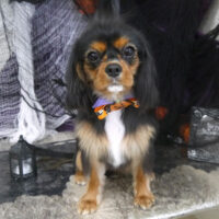 【山手店】2023年9月30日のワンちゃん達♪