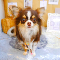 【池下店】2023年9月14日のワンちゃん達♪