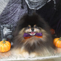 【山手店】2023年10月22日のワンちゃん達♪