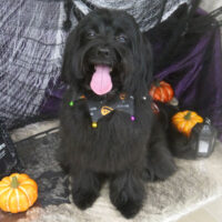 【山手店】2023年10月26日のワンちゃん達♪