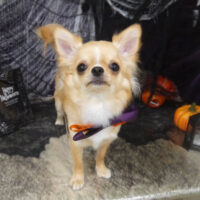 【山手店】2023年10月27日のワンちゃん達♪