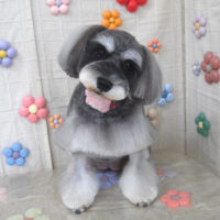 【山手店】2023年10月30日のワンちゃん達♪