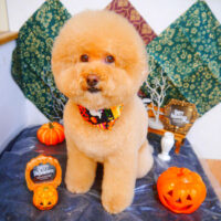 【池下店】2023年10月5日のワンちゃん達♪