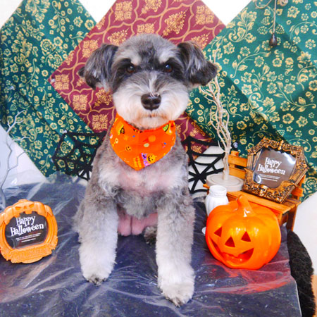 【池下店】2023年10月9日のワンちゃん達♪