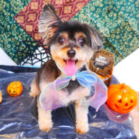 【池下店】2023年10月13日のワンちゃん達♪