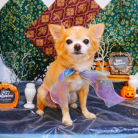 【池下店】2023年10月19日のワンちゃん達♪