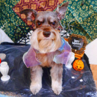 【池下店】2023年10月20日のワンちゃん達♪