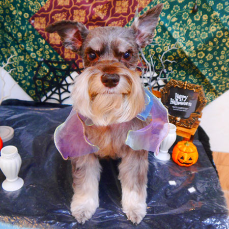 【池下店】2023年10月20日のワンちゃん達♪