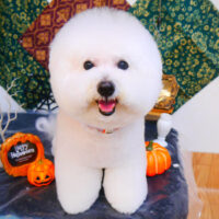 【池下店】2023年10月22日のワンちゃん達♪