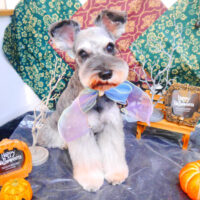 【池下店】2023年10月23日のワンちゃん達♪