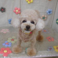 【山手店】2023年11月9日のワンちゃん達♪