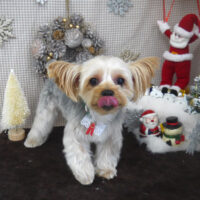 【山手店】2023年11月24日のワンちゃん達♪