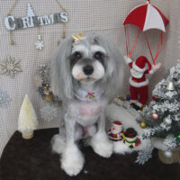 【山手店】2023年11月26日のワンちゃん達♪