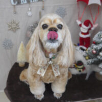 【山手店】2023年11月27日のワンちゃん達♪