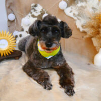 【池下店】2023年11月11日のワンちゃん達♪