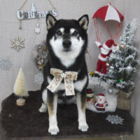 【山手店】2023年12月21日のワンちゃん達♪