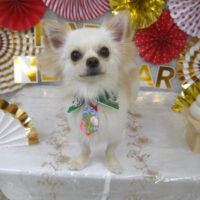 【山手店】2023年12月28日のワンちゃん達♪