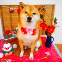 【池下店】2023年12月28日のワンちゃん達♪