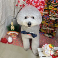 【本店】2024年1月26日のワンちゃん達♪