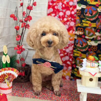 【本店】2024年1月13日のワンちゃん達♪