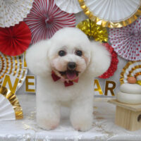 【山手店】2024年1月7日のワンちゃん達♪