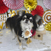 【山手店】2024年1月15日のワンちゃん達♪