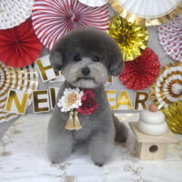 【山手店】2024年1月18日のワンちゃん達♪