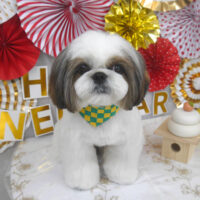 【山手店】2024年1月19日のワンちゃん達♪