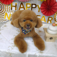 【山手店】2024年1月22日のワンちゃん達♪